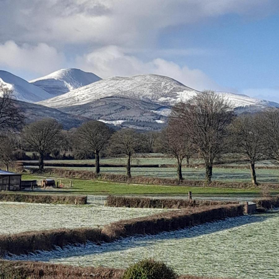 Shadowvale E34X773 Panzió Tipperary Kültér fotó