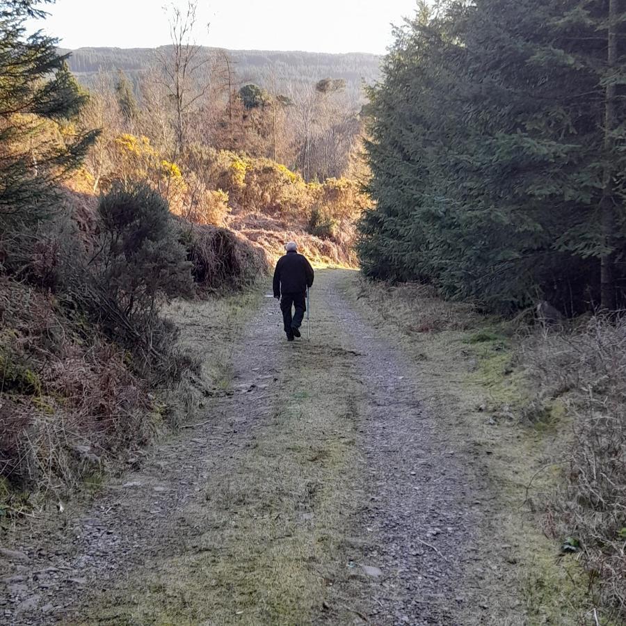 Shadowvale E34X773 Panzió Tipperary Kültér fotó