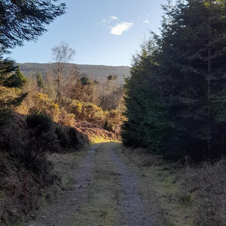 Shadowvale E34X773 Panzió Tipperary Kültér fotó