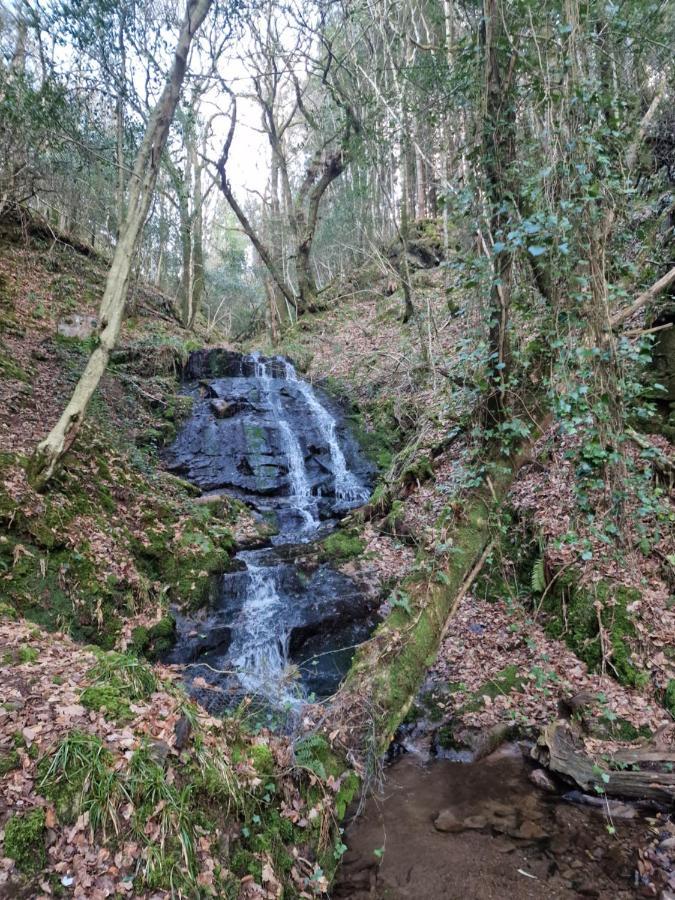 Shadowvale E34X773 Panzió Tipperary Kültér fotó